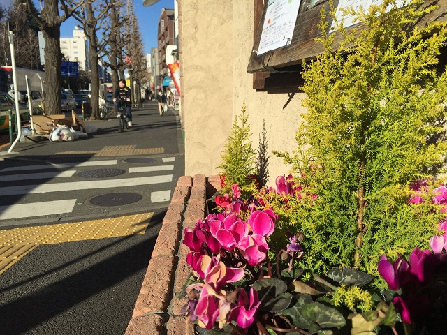 ライオンズマンション高円寺南　周辺環境