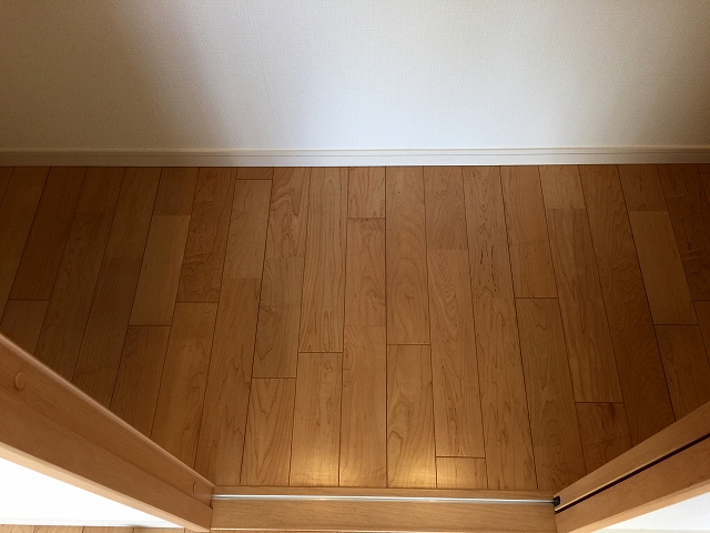 ライオンズマンション高円寺南　洋室南側収納