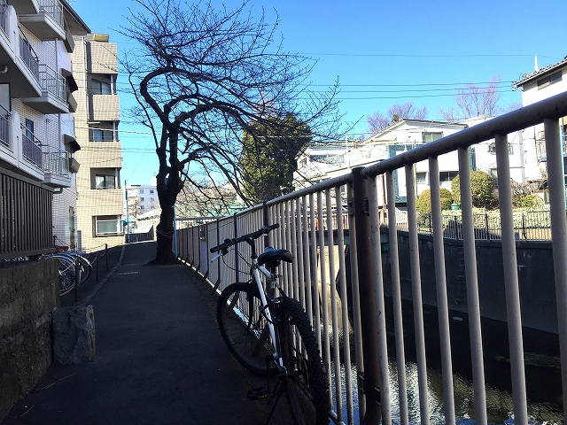 ライオンズマンション荻窪　周辺環境