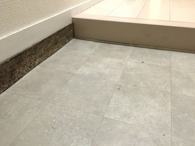 ライオンズマンション荻窪　玄関