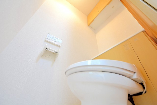 恵比寿グリーンハイム トイレ