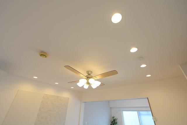 キクエイパレス上野毛 LD