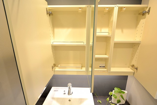 青山コーポラス 洗面