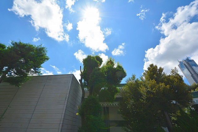 ワコーレ代々木Ⅱ バルコニー