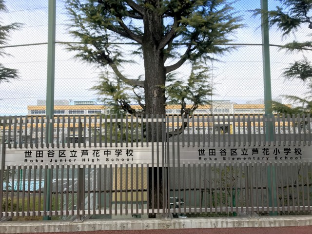 芦花駅周辺 (12)