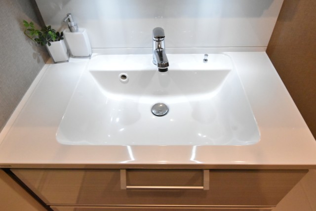 秀和代々木レジデンス 洗面室