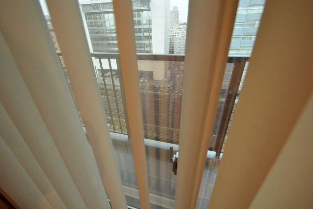 ライオンズマンション池田山 洋室9.5