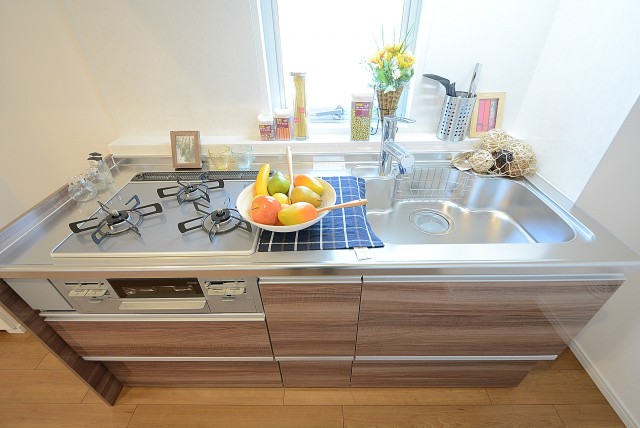 日興パレス文京 キッチン