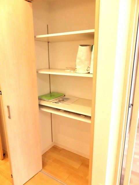 キャニオングランデ荻窪　リビング物入