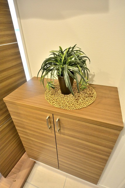 宮園キャピタルマンション　シューズボックス