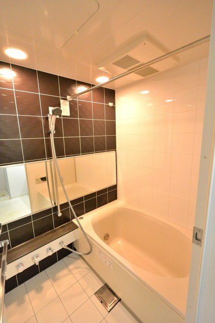 ダイナシティ市谷仲之町　バスルーム