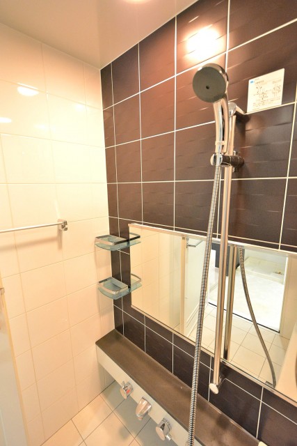 ダイナシティ市谷仲之町　バスルーム