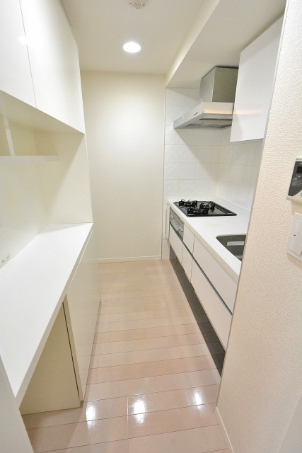 ダイナシティ市谷仲之町　キッチン