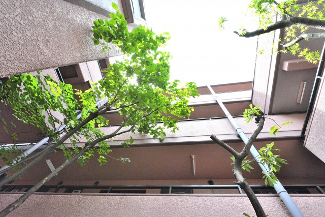 セザール第二上北沢　共有部