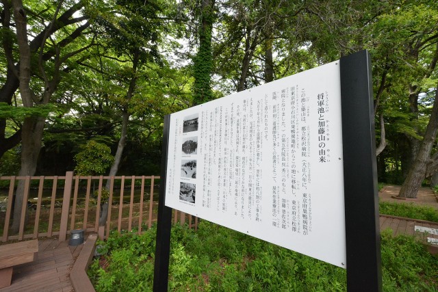 セザール第二上北沢　周辺