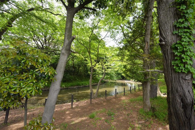 セザール第二上北沢　周辺