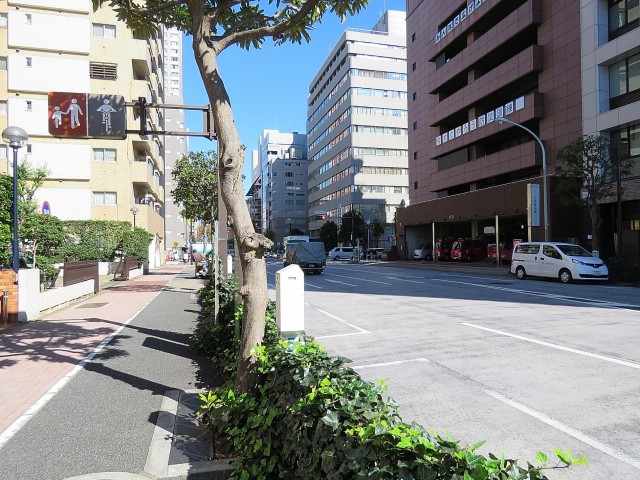 ソフトタウン池袋　前面道路