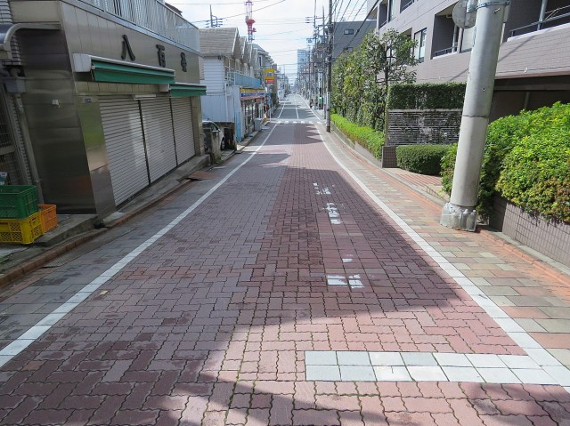東急ドエルアルス矢口　エントランス前道路