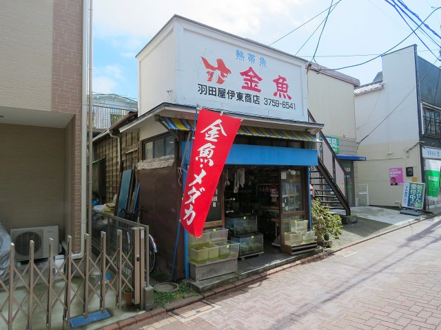 ノトス多摩川フレックス　武蔵新田商店街