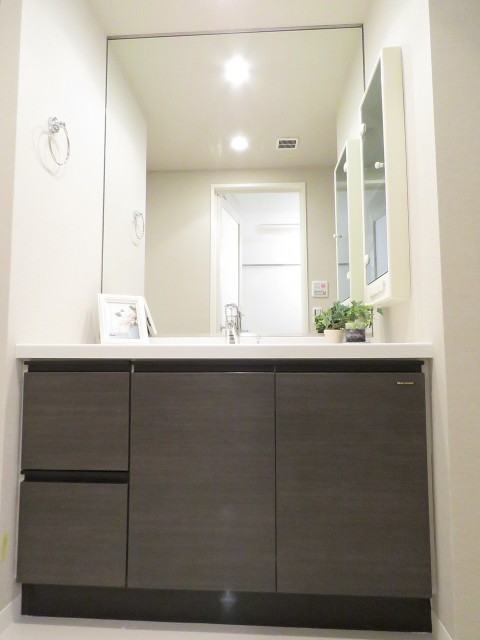 フィース駒込六義園　洗面化粧台