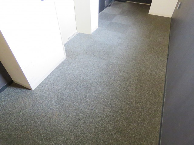 フィース駒込六義園　絨毯敷きの内廊下