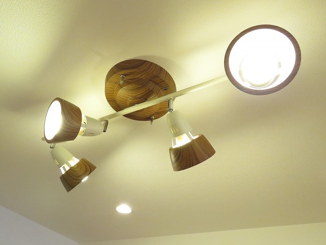 レック芝公園マンション　照明