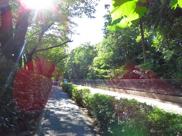 レック芝公園マンション　増上寺周辺