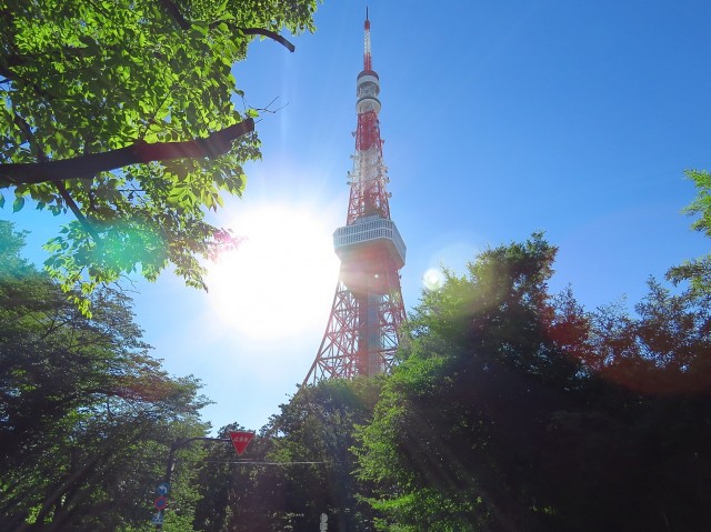 レック芝公園マンション　東京タワー