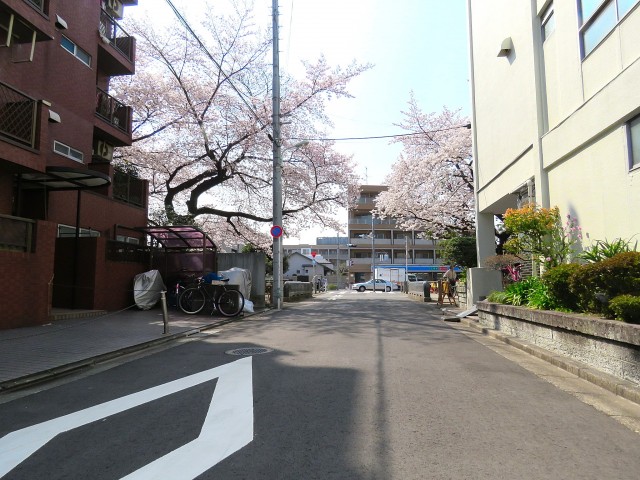 東北沢コーポラス　前面道路