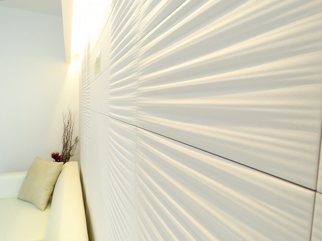 サングリア中目黒　LDK壁面のエコカラット