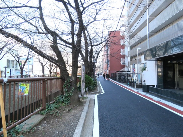 青葉台フラワーマンション　エントランス前道路
