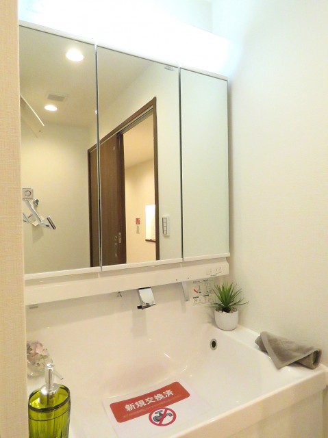 豊榮アンバサダー六本木　洗面化粧台