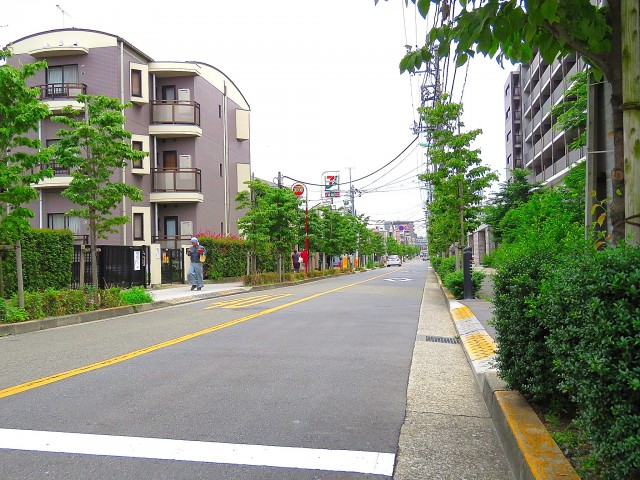 ファミールプランシェ経堂　前面道路