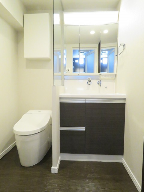 都立大グリーンパーク　トイレと洗面化粧台