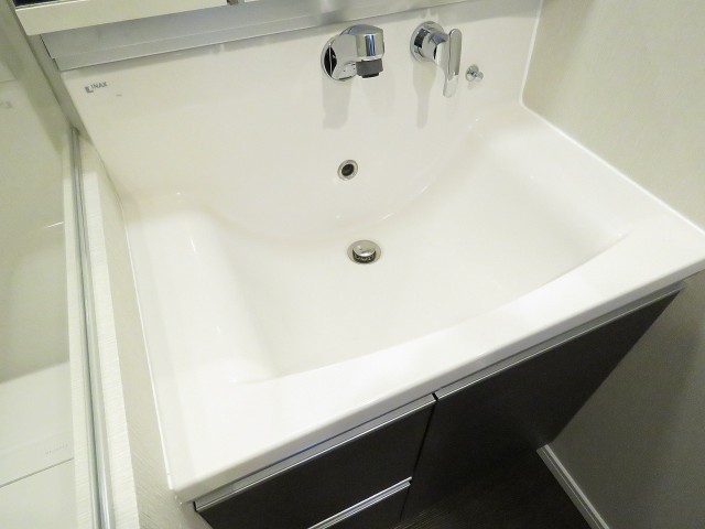 都立大グリーンパーク　洗面ボウル