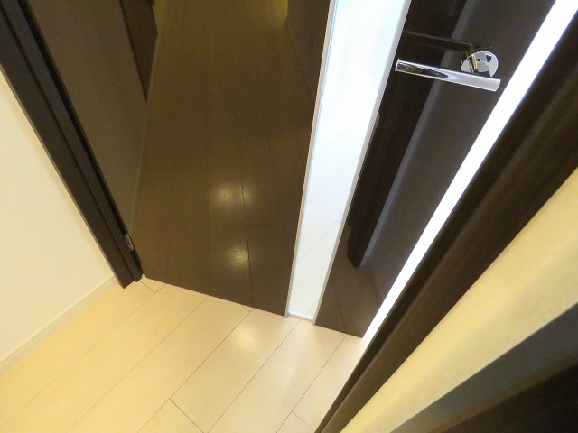 都立大グリーンパーク　ＤＫ扉