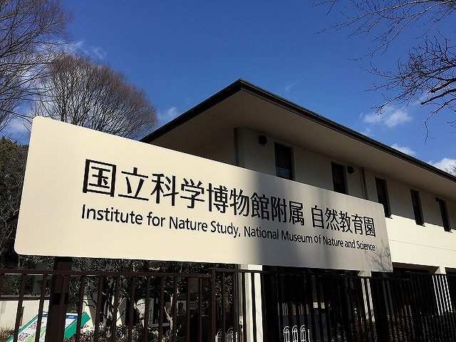 サンウッド目黒　周辺環境