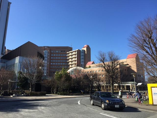 成城エンジェルマンション　周辺環境