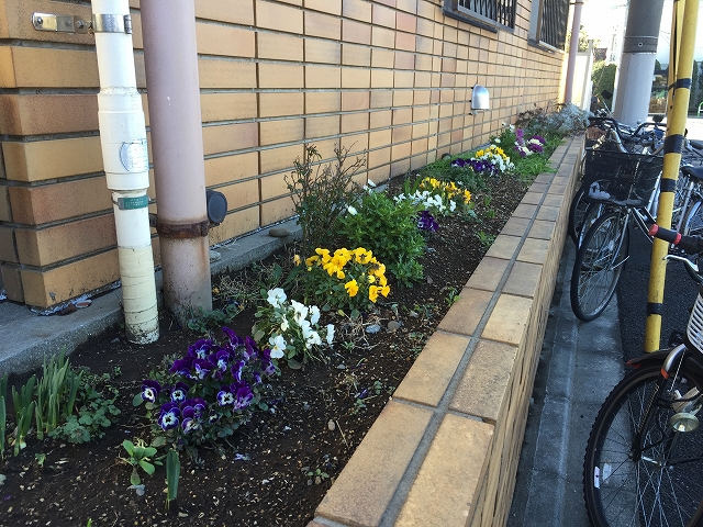 成城エンジェルマンション　花壇