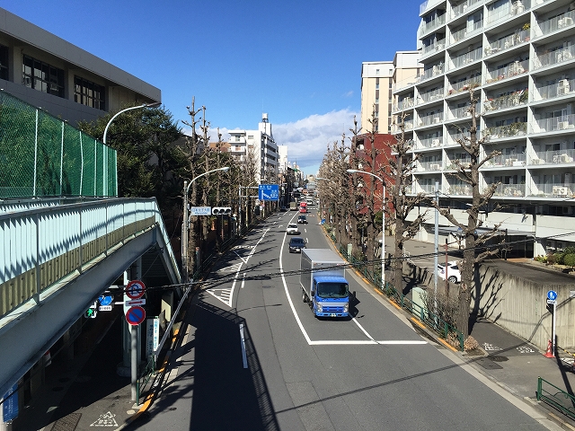 小田急目白台マンション　周辺環境