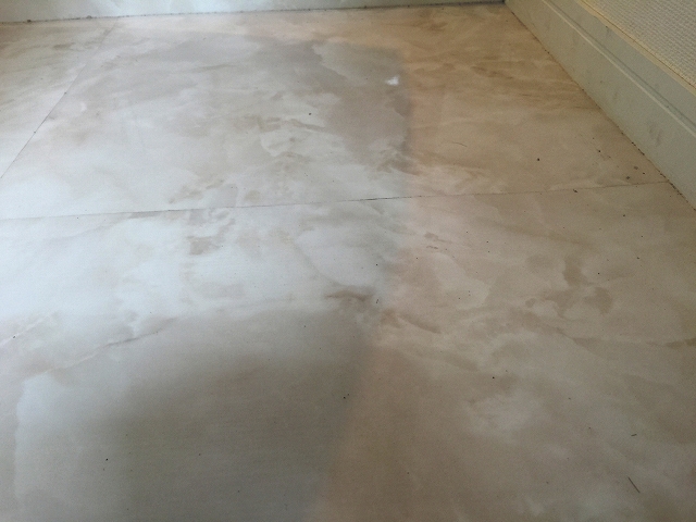 サンコート西荻窪　玄関