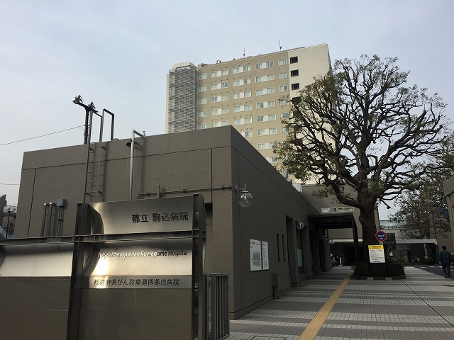 日興パレス文京　周辺環境