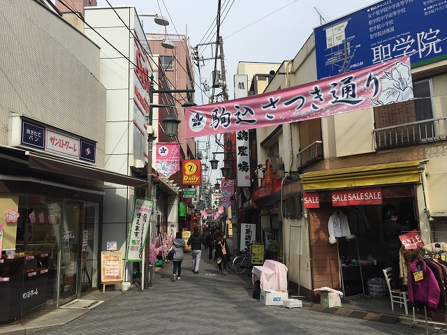 トーア駒込　周辺環境