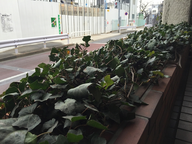 パーク・ハイム淡島　エントランス