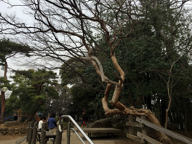 パーク・ハイム淡島　周辺環境