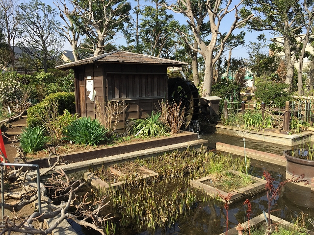 砧公園スカイハイツ　周辺環境