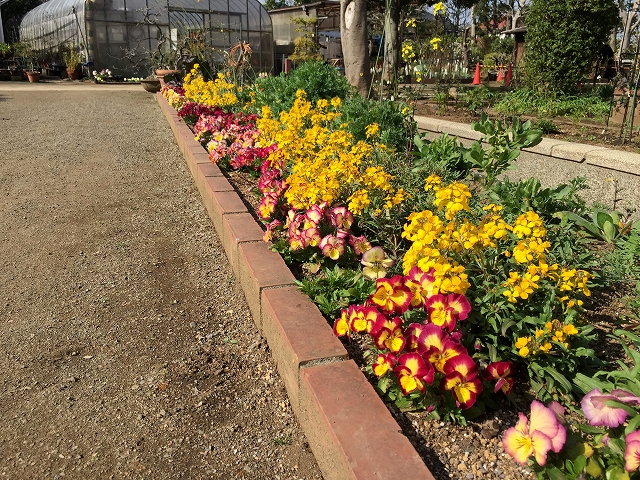 砧公園スカイハイツ　周辺環境