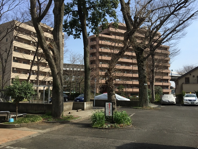 砧公園スカイハイツ　敷地内