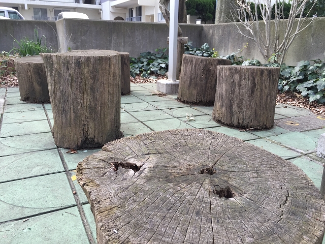 砧公園スカイハイツ　敷地内