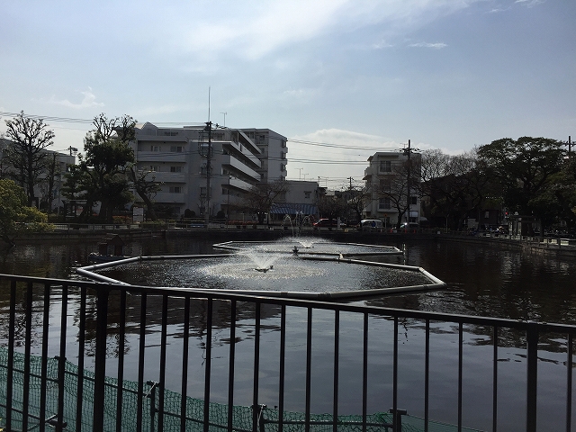 秀和清水池レジデンス　周辺環境